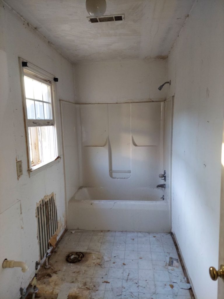 bathroom demolition
