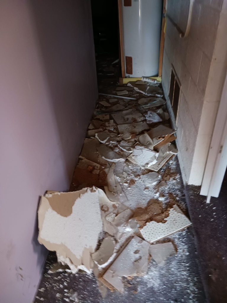 simple arise imahges