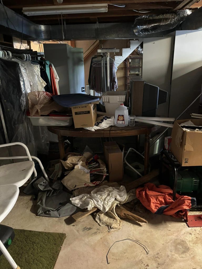 basement cleanouts